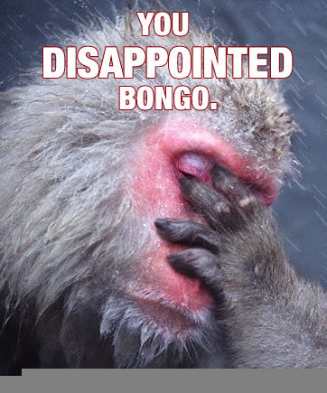 disappointed-bongo.jpg